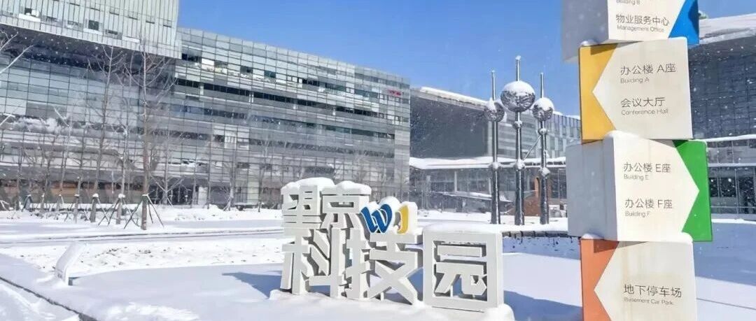 留创资讯 | 初雪降临，望京留创园秒变童话镇！