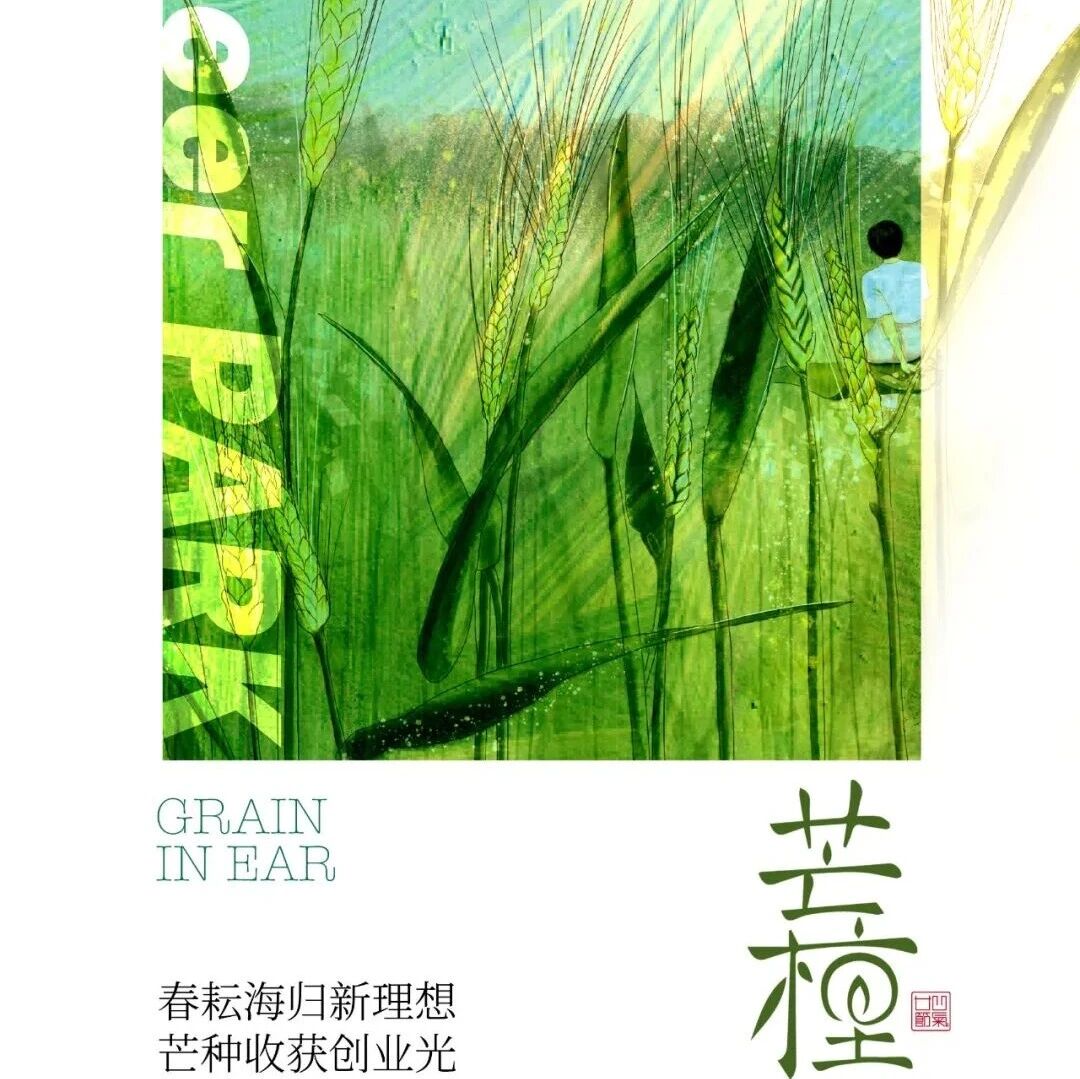 今日芒种｜春耘海归新理想，芒种收获创业光