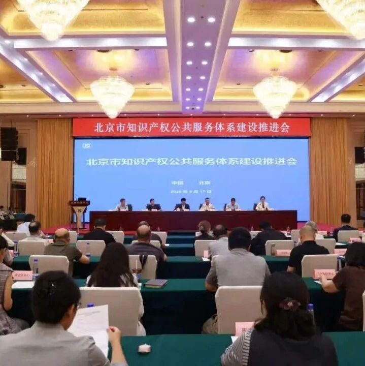 园区喜讯｜蝉联市级荣誉！望京科技园知识产权工作站获评